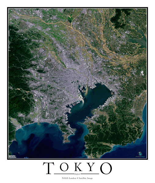 Tokyo Wall Map