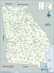 Georgia County Outline Wall Map