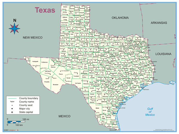 Texas County Outline Wall Map
